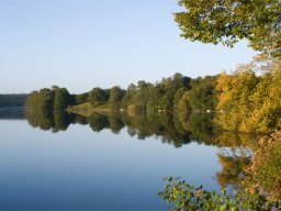 IMGP6522-Det-2-Hald-i-morgenlys